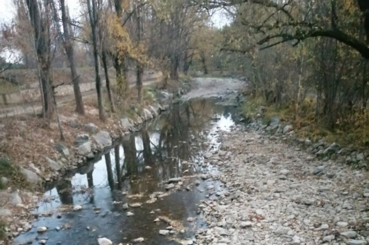    В Симферополе расчищают Салгир