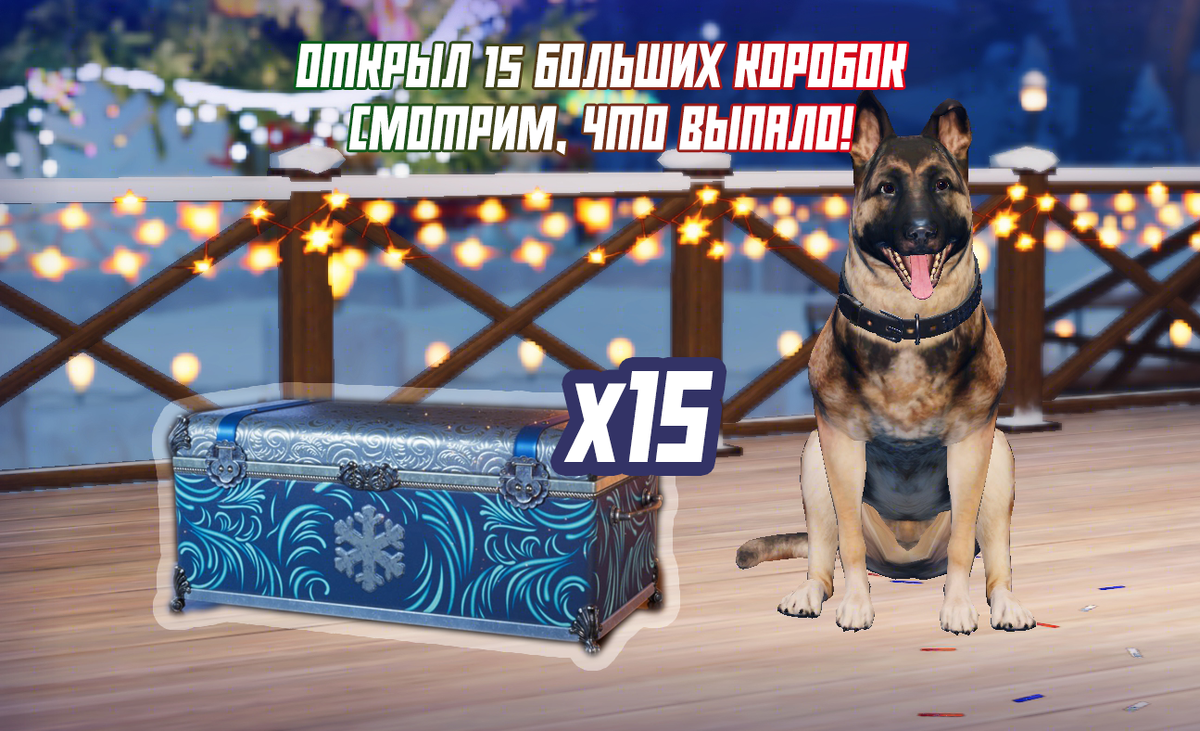 Взял 20 новогодних