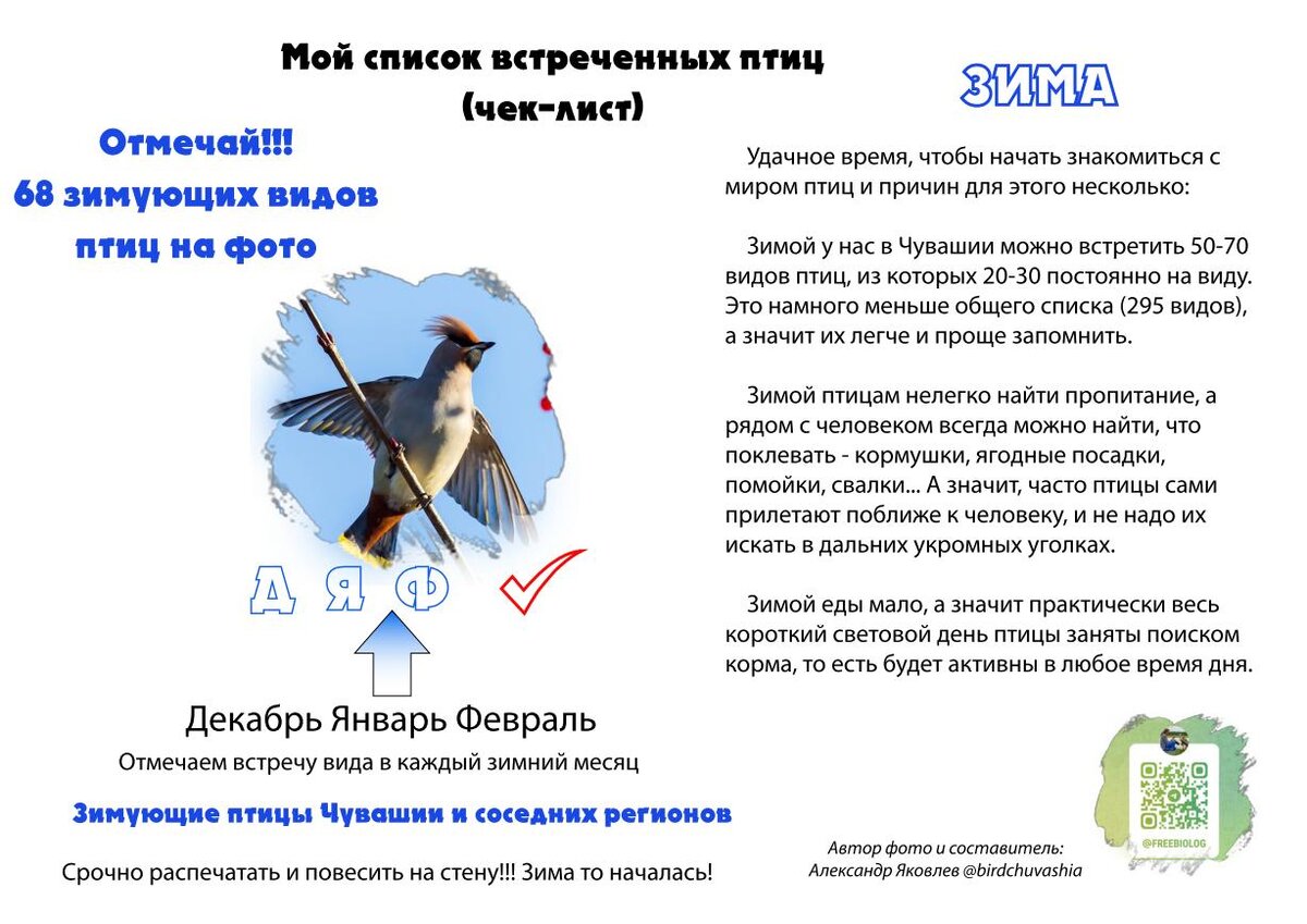 Авторские фото Александр Яковлев