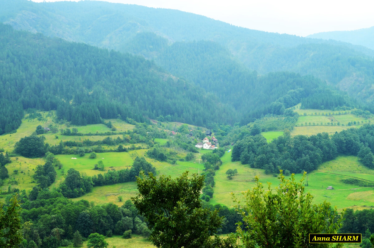 Одна треть всей территории в Сербии занята лесами.