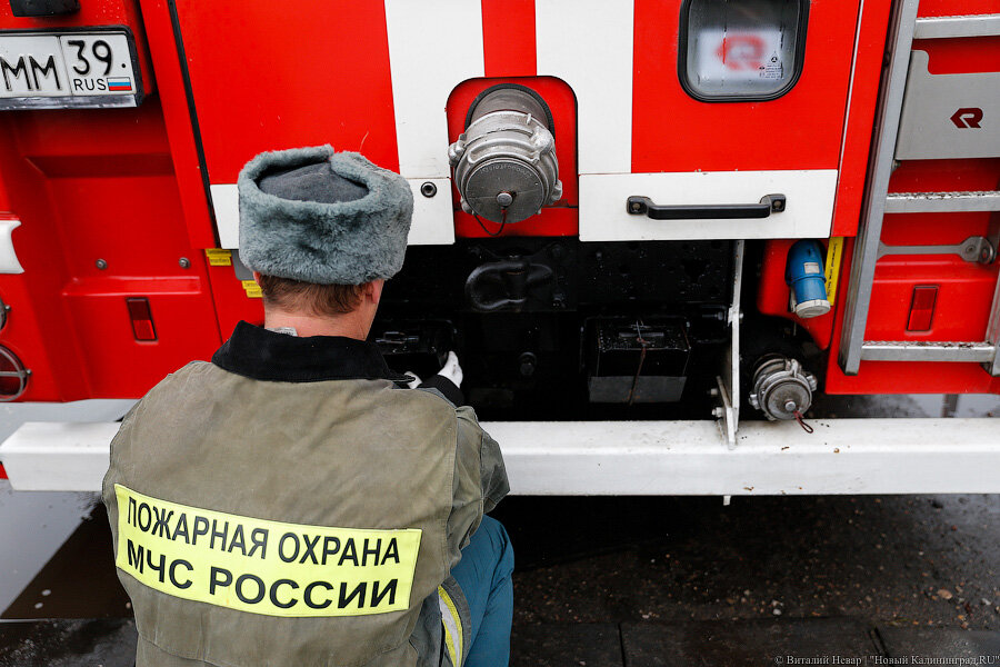 Фото: Виталий Невар / Новый Калининград