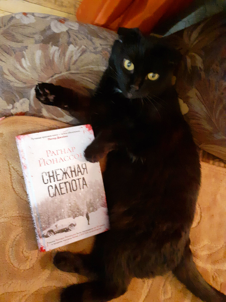 Фотография автора