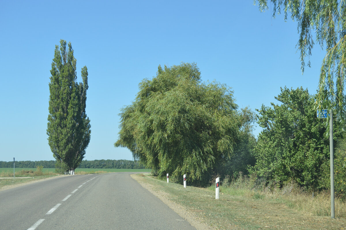 Фото автора. 18.08.2023. Дорога, что нас ждёт за поворотом, никто не знает!