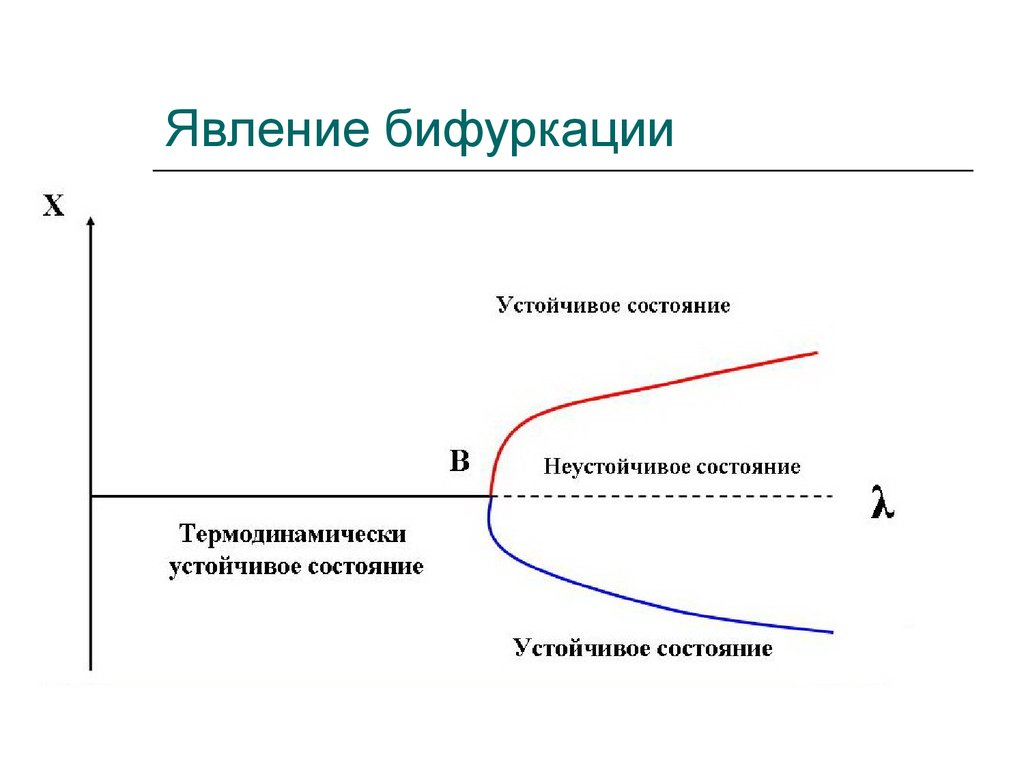 Точка бифуркации 13