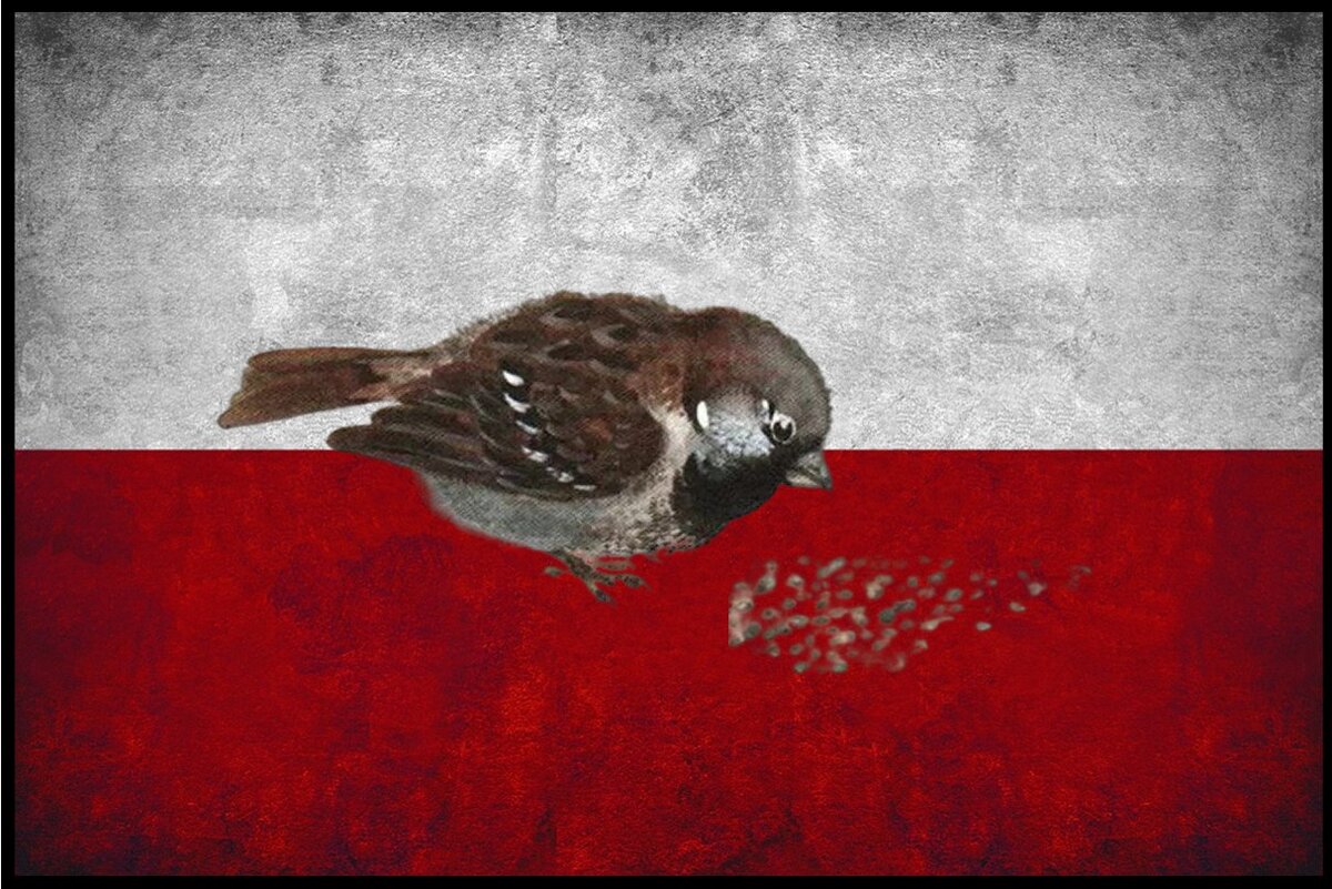 Reuters сообщает, что за последние три месяца польский Orlen зафрахтовал около десяти танкеров