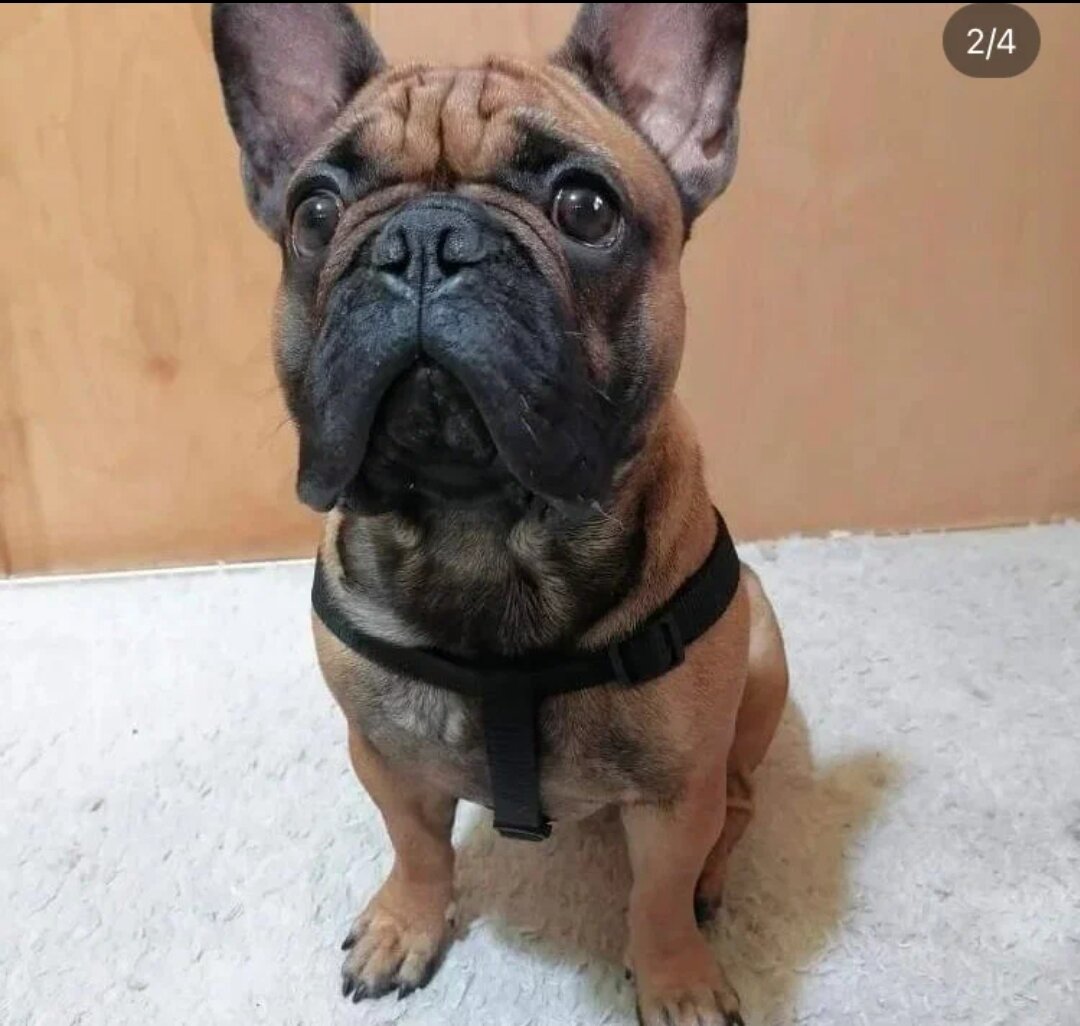 Фото тогда, почти год назад