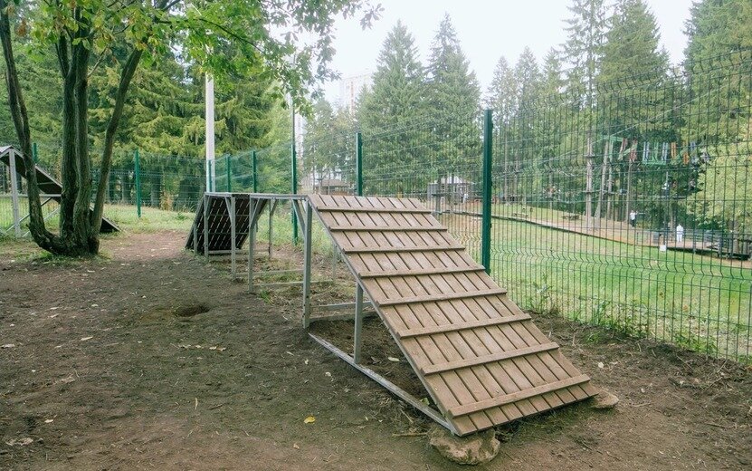    Где можно законно выгулять собаку в Ижевске