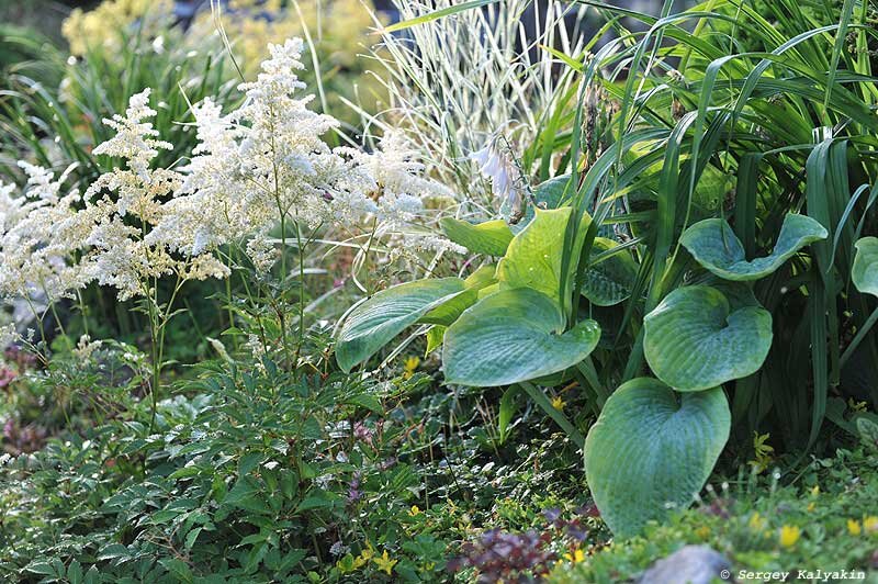 Обеспечение правильного питания и гигиены