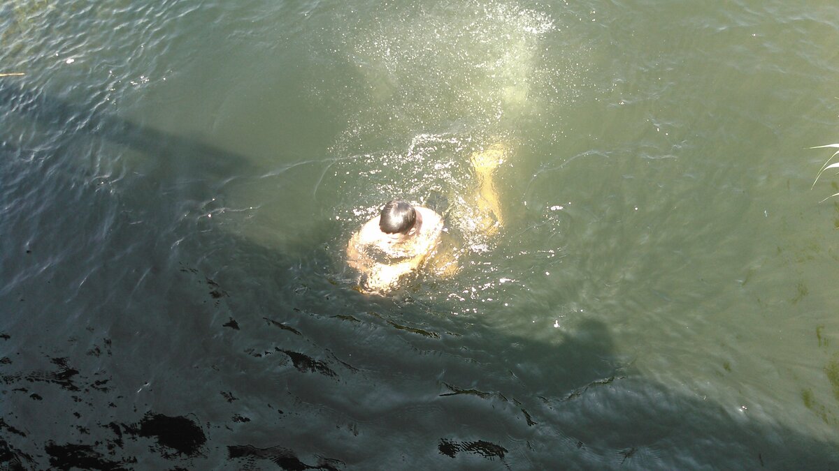 Племянники прыгают с моста. Фото автора