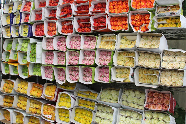 Фото с сайта http://divinefloreal.blogspot.com