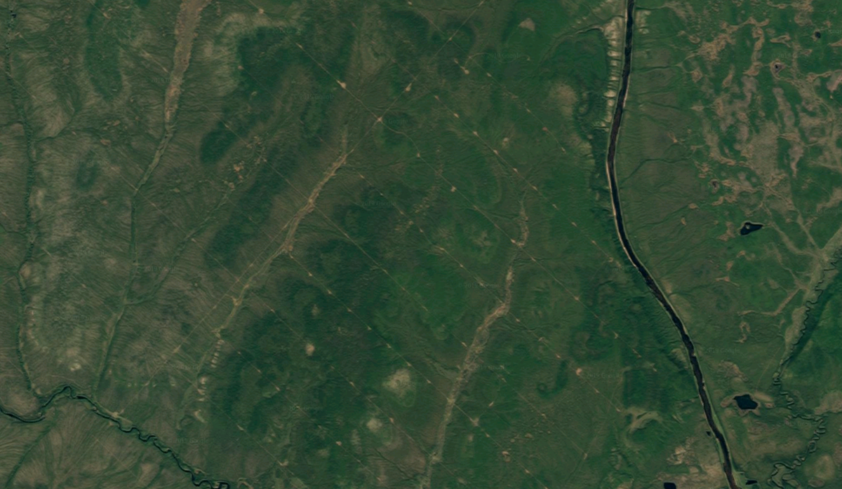 Тюменская область спутник в реальном времени. Снимки со спутника. Снимки местности со спутника. Пашня со спутника. Лес со спутника.