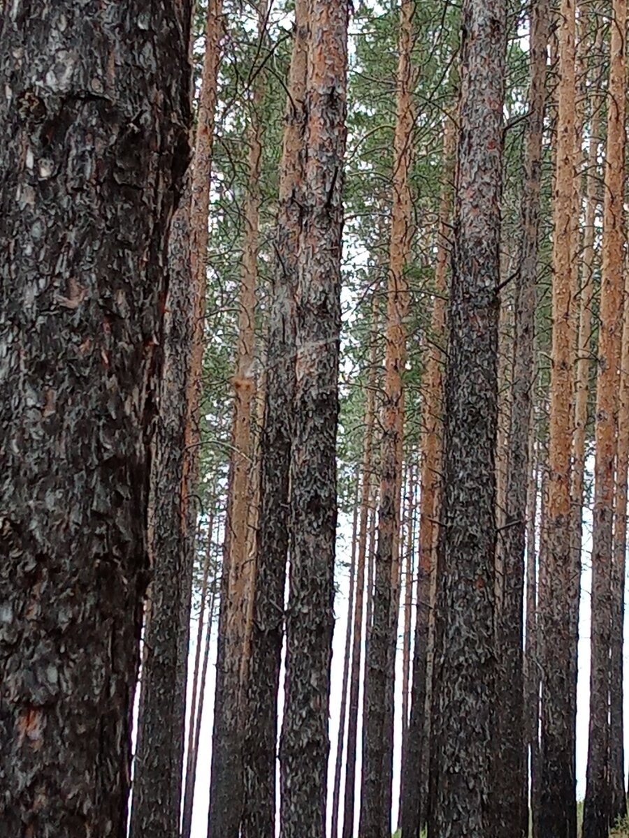 Божественно