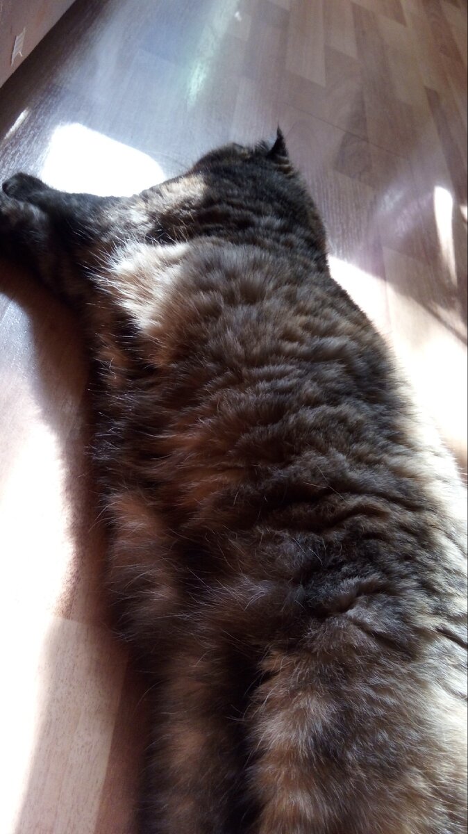 Прям скучает-переживает