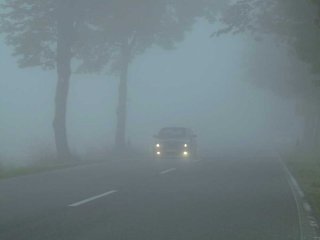 фото с просторов интернета