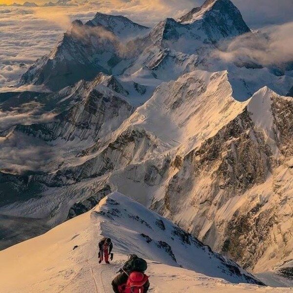 Источник: https://www.pinterest.ru/pin/732749801853919158/?nic=1 