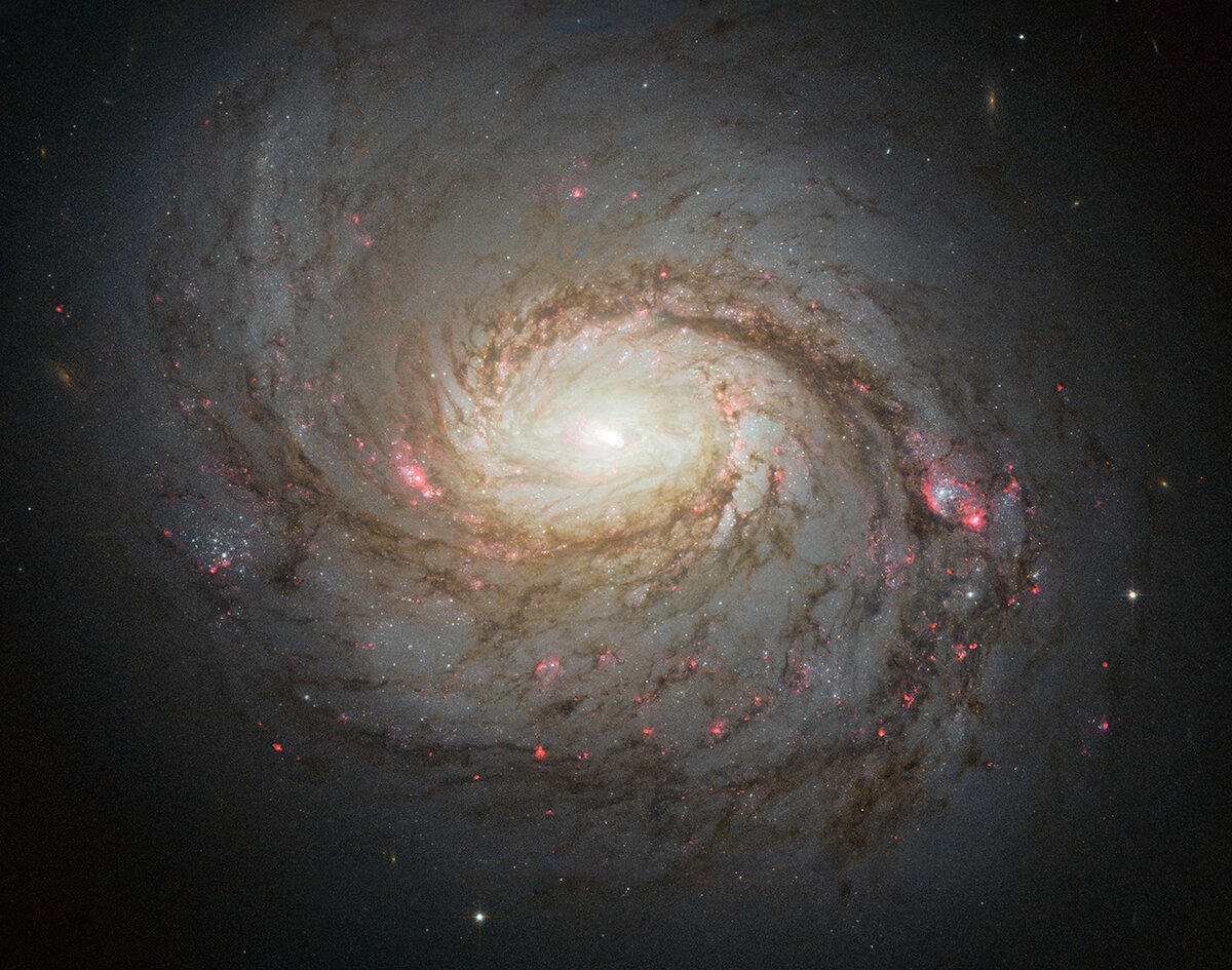 Снимок спиральной галактики NGC 1068, полученный космическим телескопом «Hubble». Credit: NASA, ESA & A. van der Hoeven