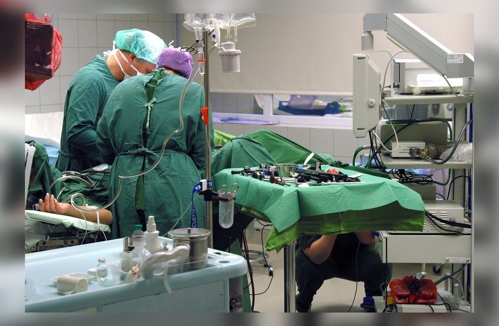 Фото из свободного доступа