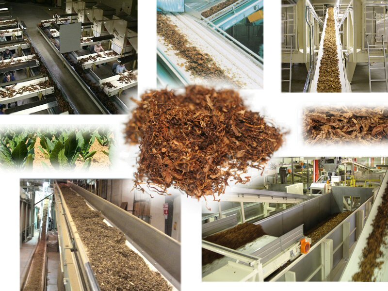 Картинка взята с Яндекс.Картинки