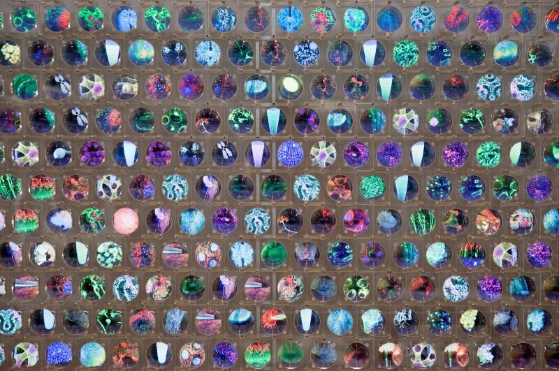 Фото squintopera.com