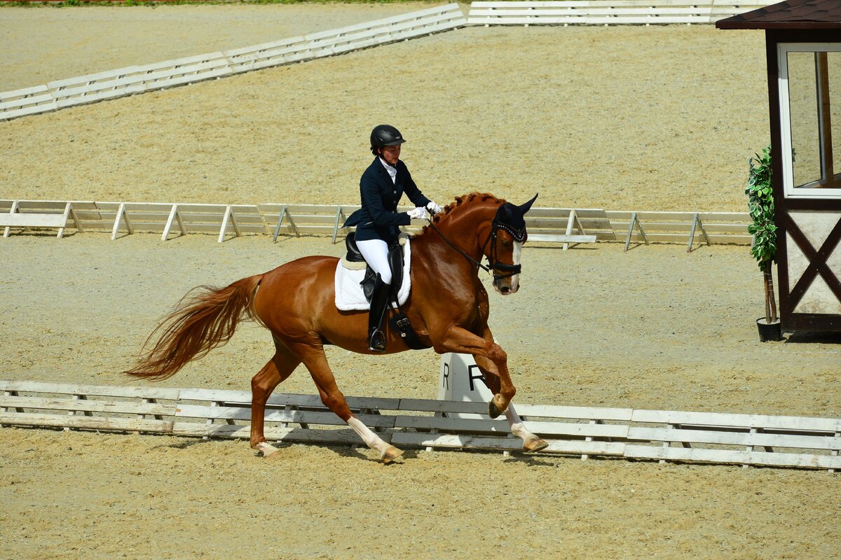 Фото из архива Ольги Поломошновой