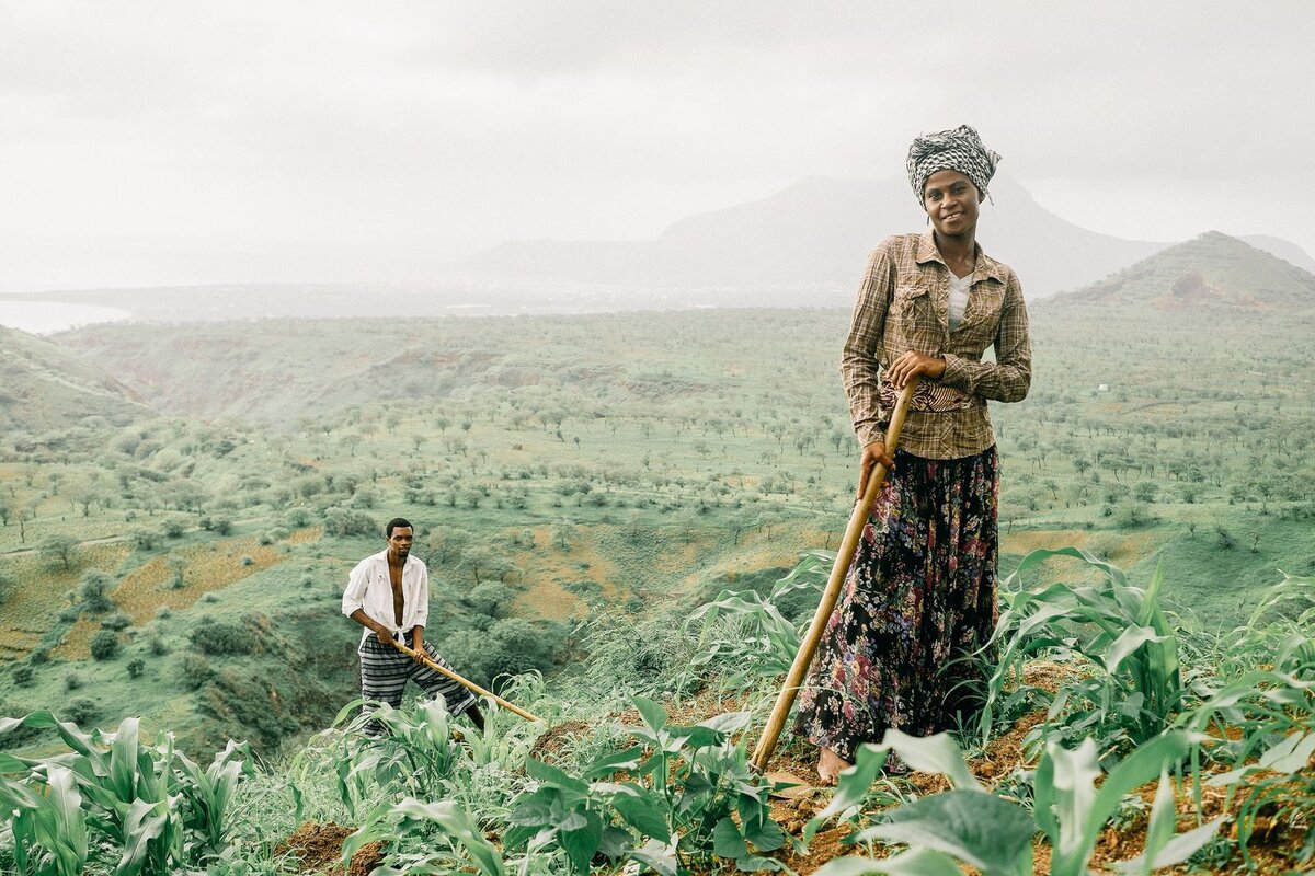 Как стать фотографом в National Geographic? | Honka.magazine | Дзен