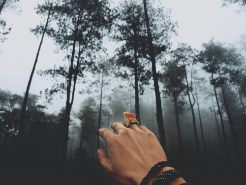 https://unsplash.com/photos/cRElJmfjzMg