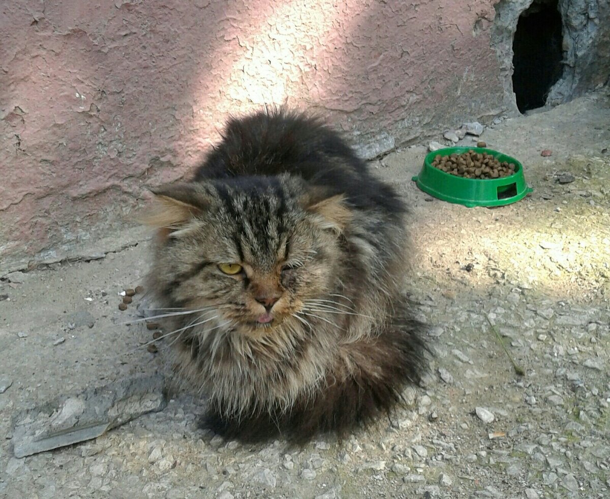 Вот такую Бусю мы нашли