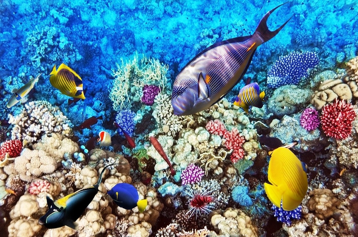 Источник: Яндекс. Картинки