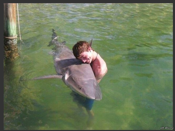 Фото с pikabu.ru