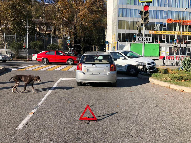 Фото: отделение по пропаганде безопасности дорожного движения ОГИБДД УВД Сочи 