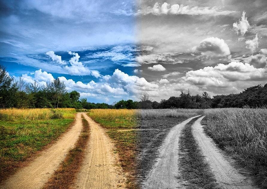 Изображение взято с открытых источников Яндекс.картинки