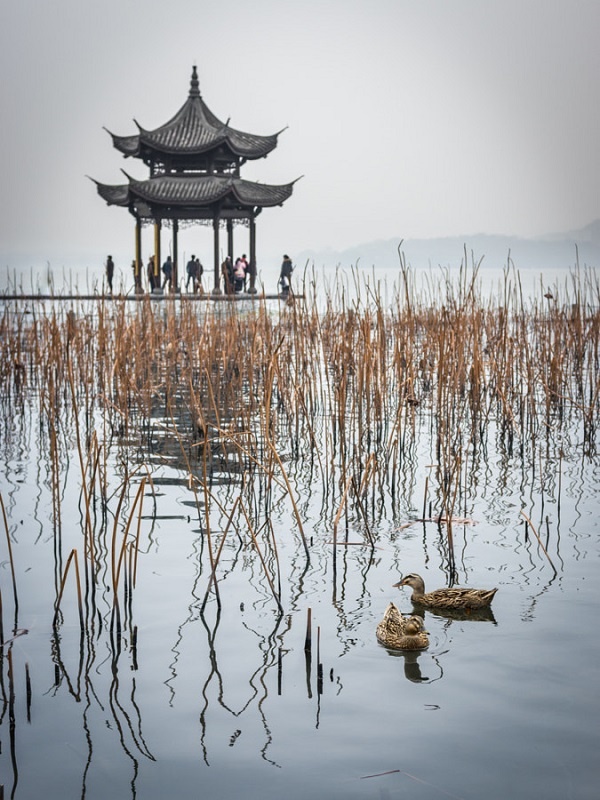 http://friends.bigasia.ru/upload/medialibrary/ca3/ca318893af50834c8f4ee70dc2c8fc62.jpg