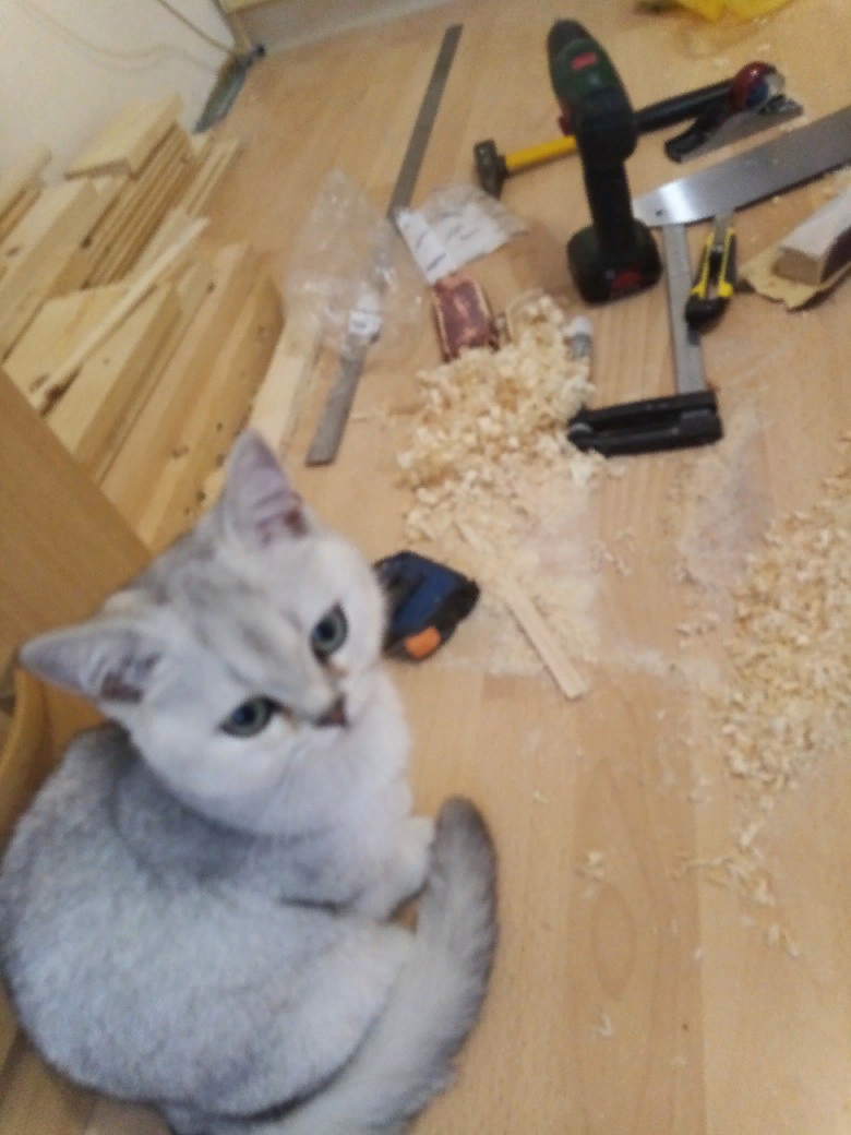 Григорий Петрович (Ice Cream Lucky Maxi)