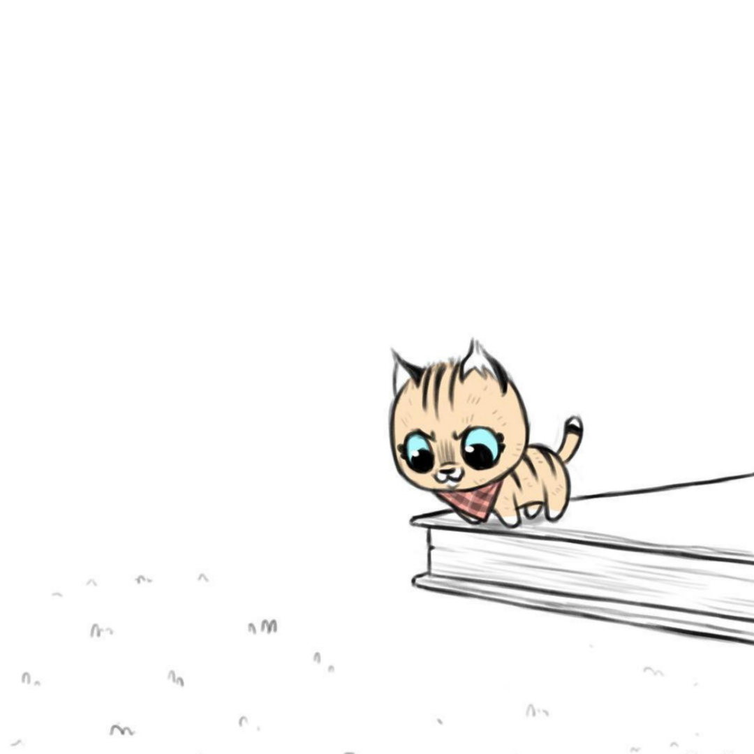 Pixie kitten