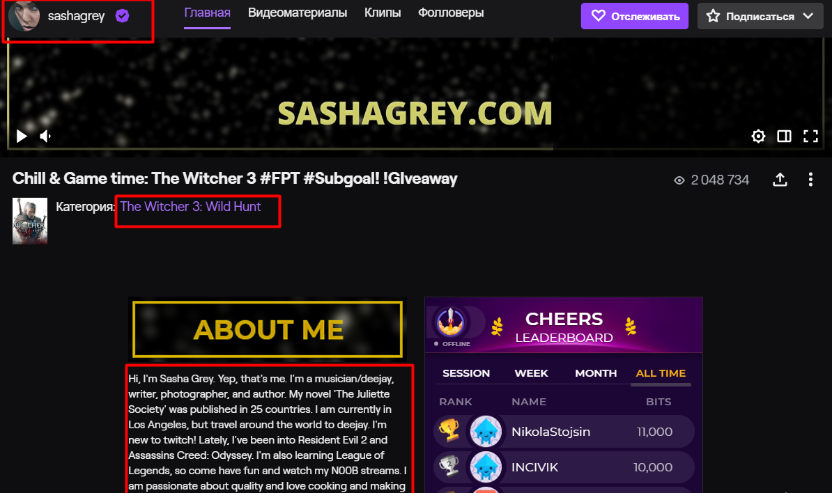 скриншот с twitch.tv