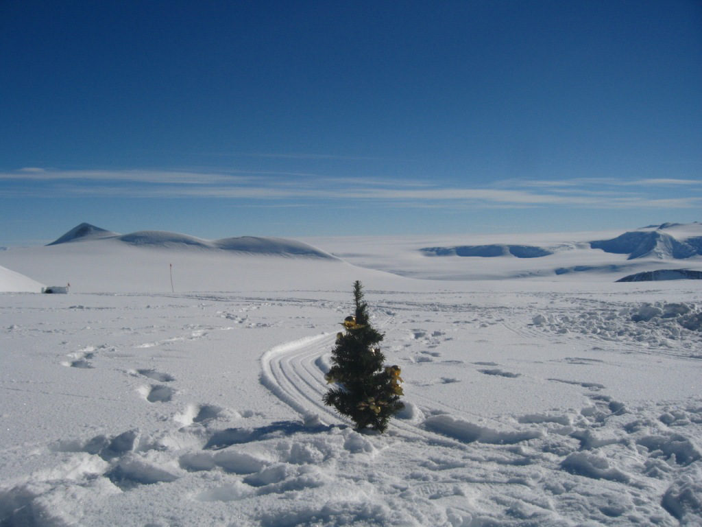 Накрыли праздничный стол на Южном полюсе, новогодняя елка в Антарктиде: это нужно видеть