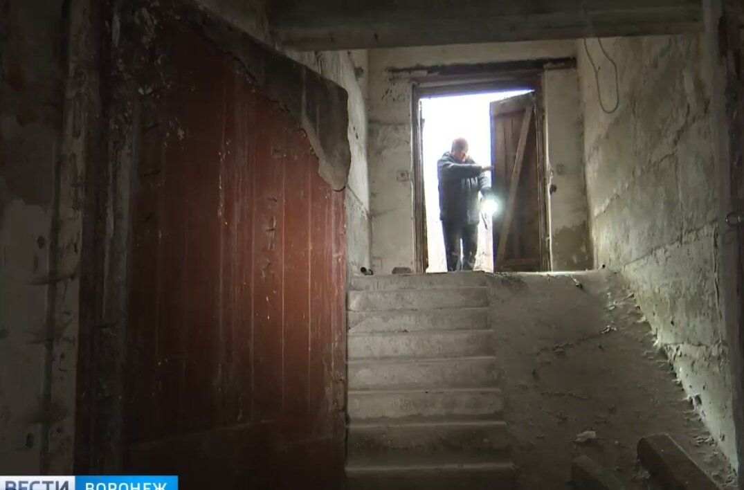 Новое помещение приюта. Зоопансионат "Альма", Воронеж.  Источник ГТРК "Воронеж"