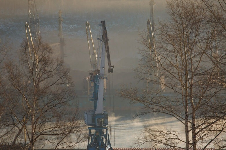 Фото: соцсети