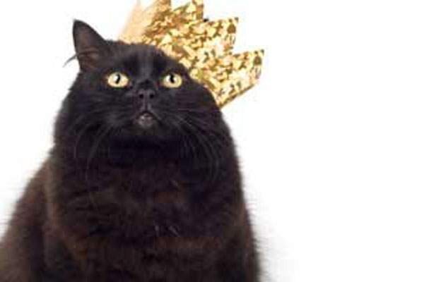 Блэки миллионер.