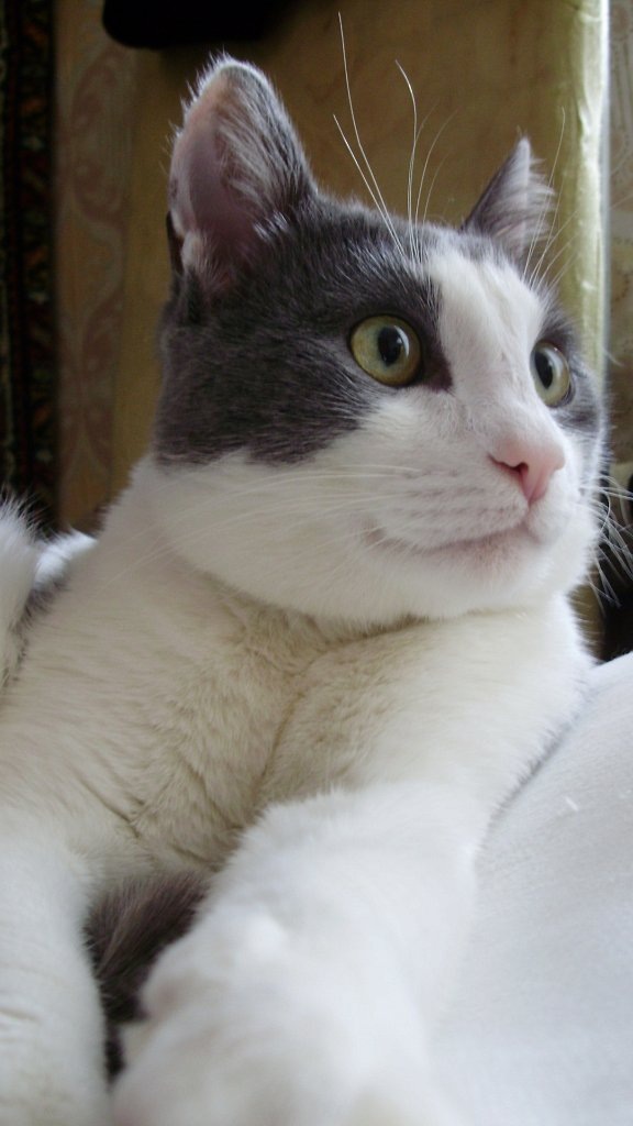 Мой Вася. Из личных архивов