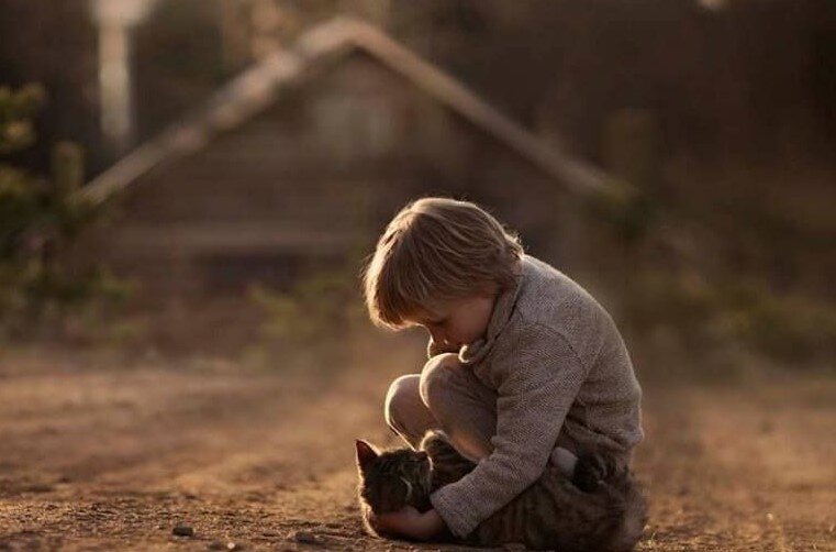 Фото для иллюстрации. Яндекс-картинки.