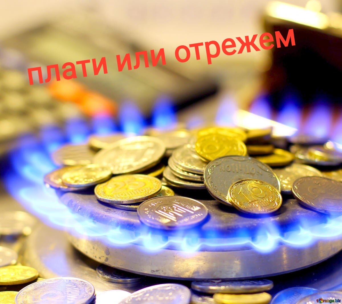 Фото взято из открытого источника