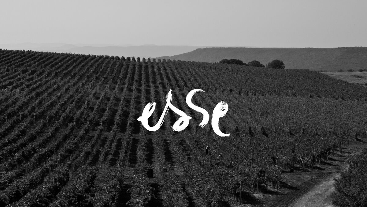 Здесь и далее фото-материалы с сайта Esse