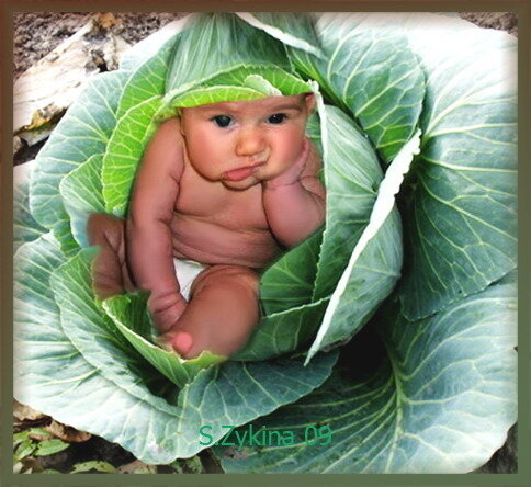 Автор по прежнему не имеет никакого отношения к данному фото. Огромная благодарность той/ тому, кто имеет!!!