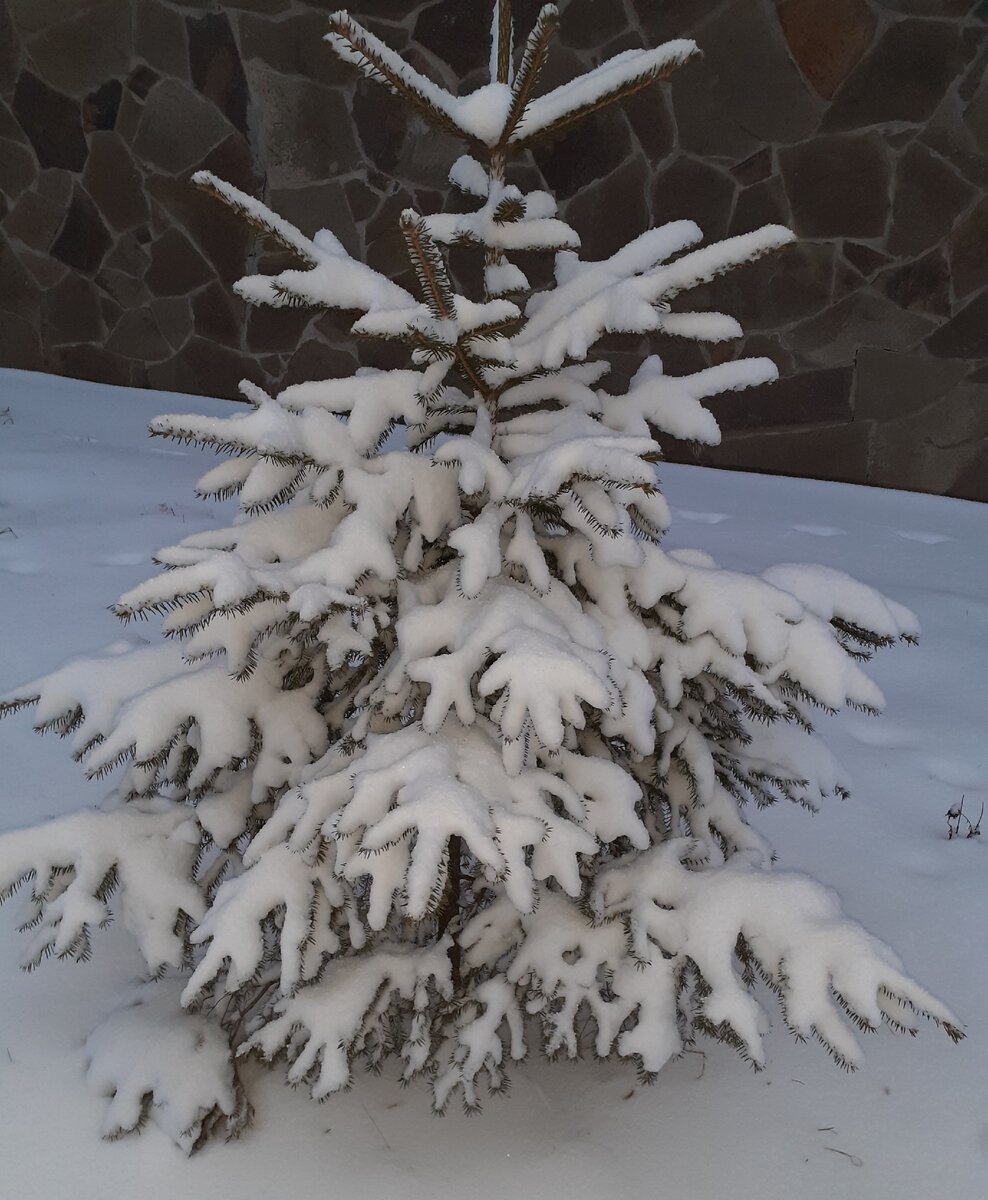 Красота февральская!