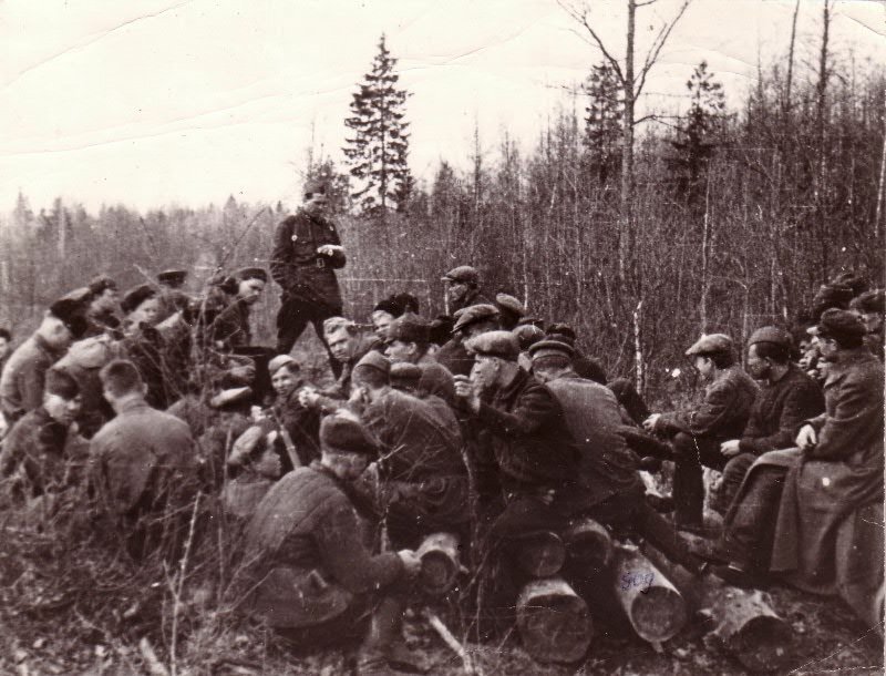 Фотография использована в качестве иллюстрации.