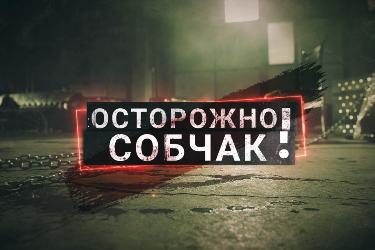 Осторожно новости чей канал. Осторожно собака. Осторожно Собчак. Jcnjhj;YJCJ,XFR. Осторожно Собчак заставка.