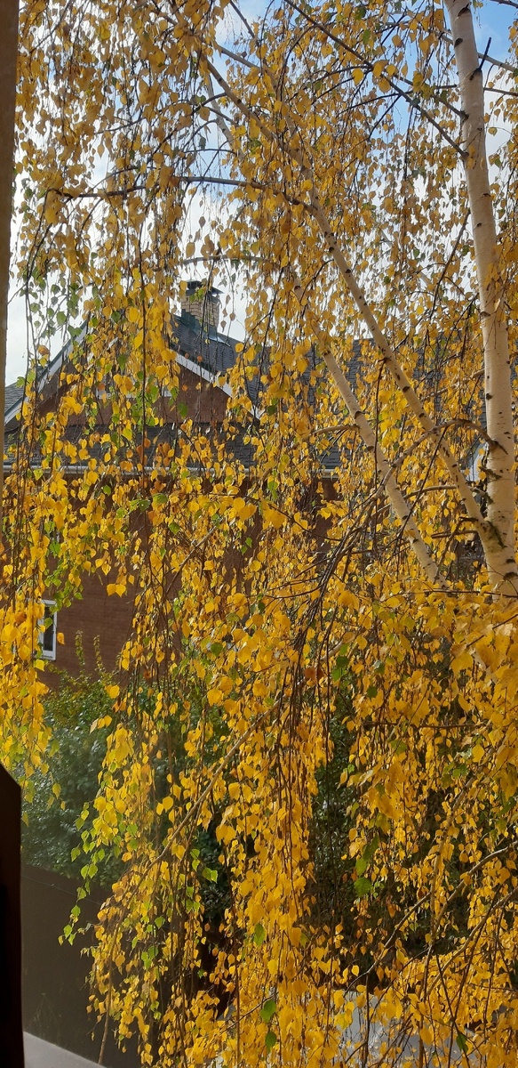 За окном сентябрь...