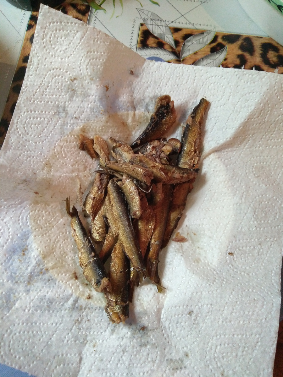 не самые удачные, хоть совсем и не дешёвые..