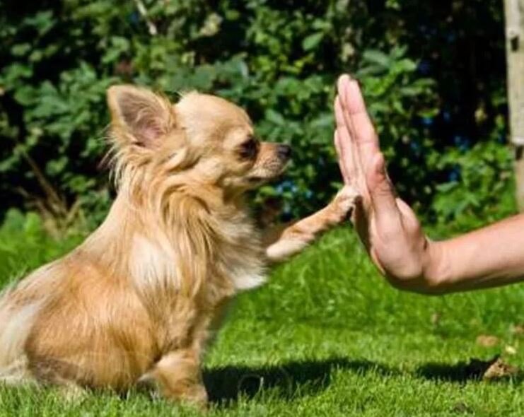 Изображение взято с сайта vk.com